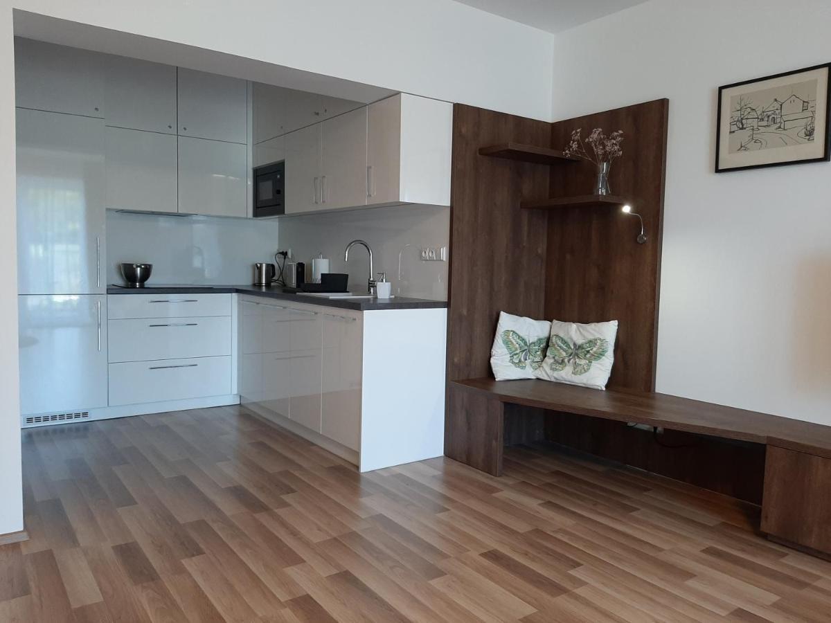 Studnice Apartment Nove Mesto na Morave